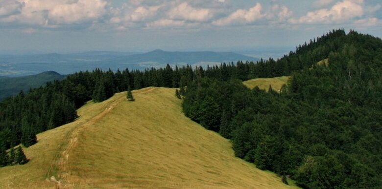 Легкий похід по Карпатам